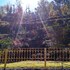 solan