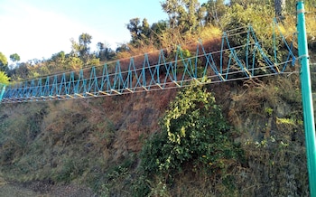 solan