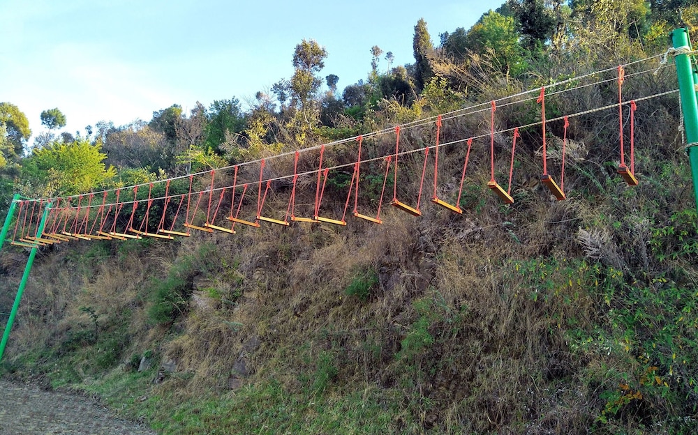 solan