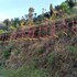 solan