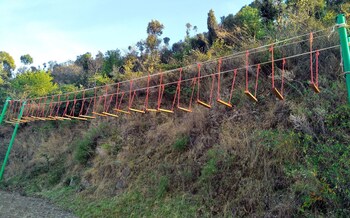 solan