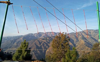 solan