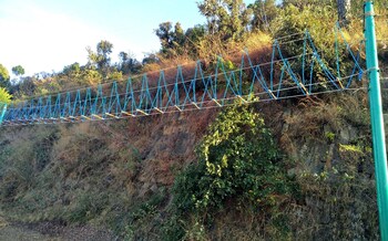 solan