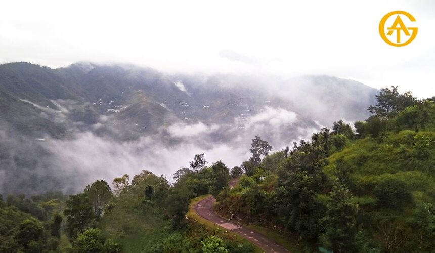 solan