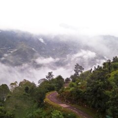 solan