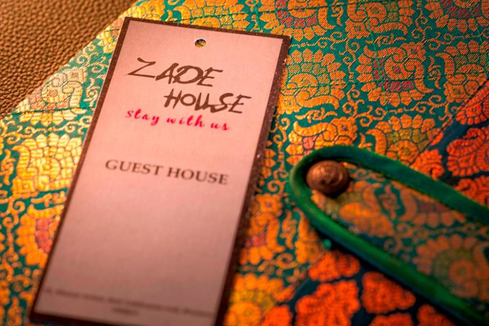 zade house udaipur