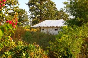 Bagh Villas I Kanha,Kanha>>Baihar,3 star