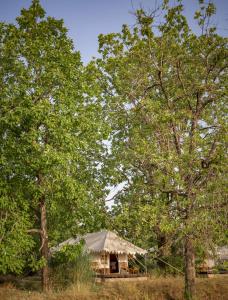 Bagh Villas I Kanha,Kanha>>Baihar,3 star
