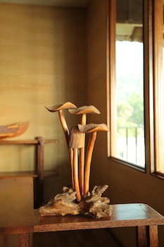 dream coconut villa resort