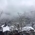 shimla