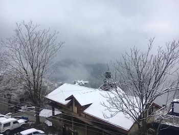 shimla
