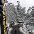 shimla