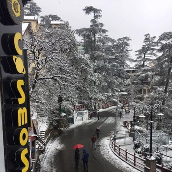 shimla