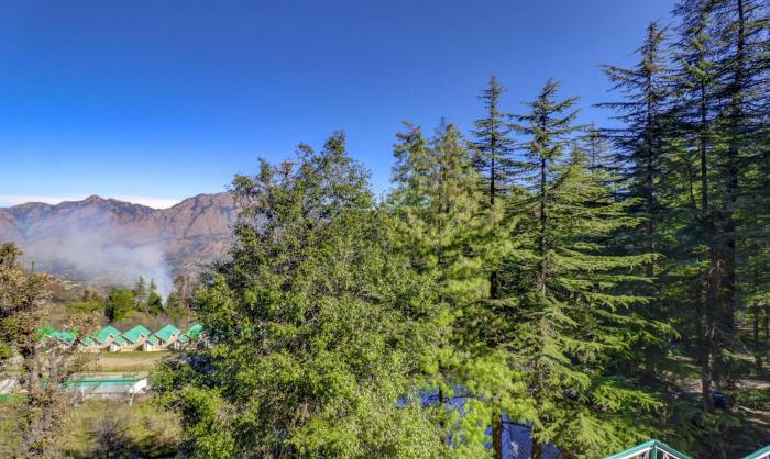 shimla