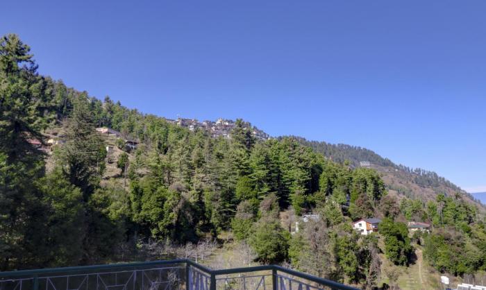 shimla