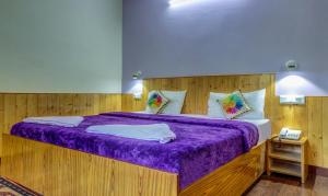shimla