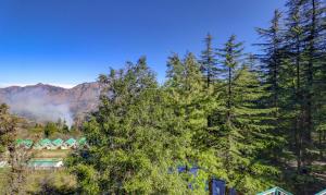 shimla