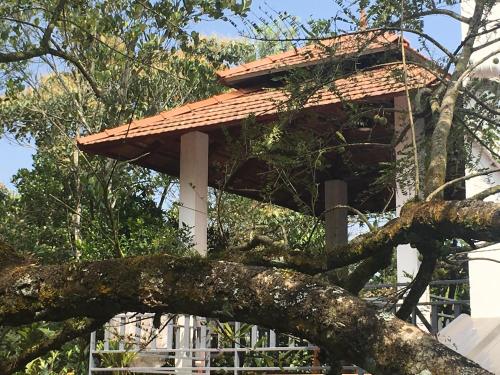 spice villa thekkady