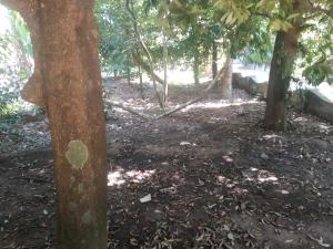 Back Packers Cochin Villa,Alwaye>>Kochi,3 star