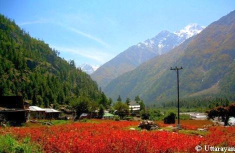 sangla