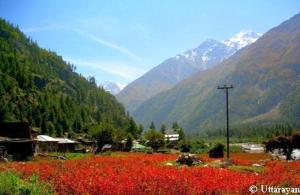 sangla