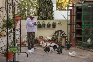 Gadh Ganesh Homestay,Near City Palace,2 star