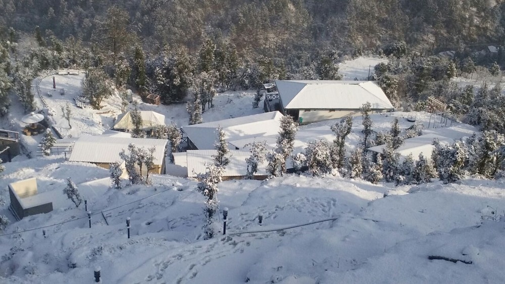 oak climbing resort