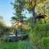 oak climbing resort