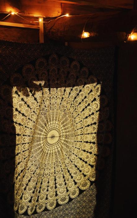 vista hostel jeolikote nainital