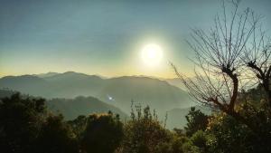 vista hostel jeolikote nainital