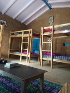 vista hostel jeolikote nainital