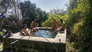 vista hostel jeolikote nainital