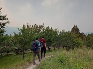 vista hostel jeolikote nainital