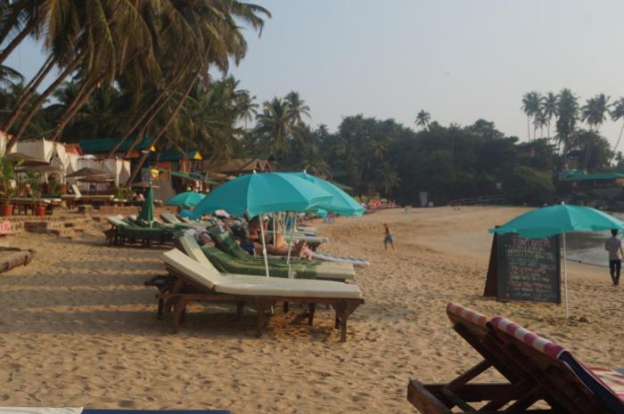 royal wood beach resort