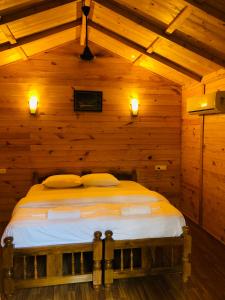 royal wood beach resort