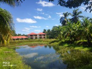 hotel exotica squares beach resort