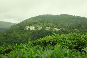 the grasmere
