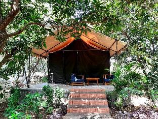 Gir County Home Stay,Sasan Gir>>Junagadh,2 star