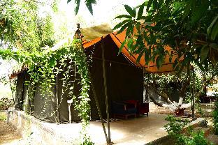 Gir County Home Stay,Sasan Gir>>Junagadh,2 star