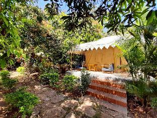 Gir County Home Stay,Sasan Gir>>Junagadh,2 star