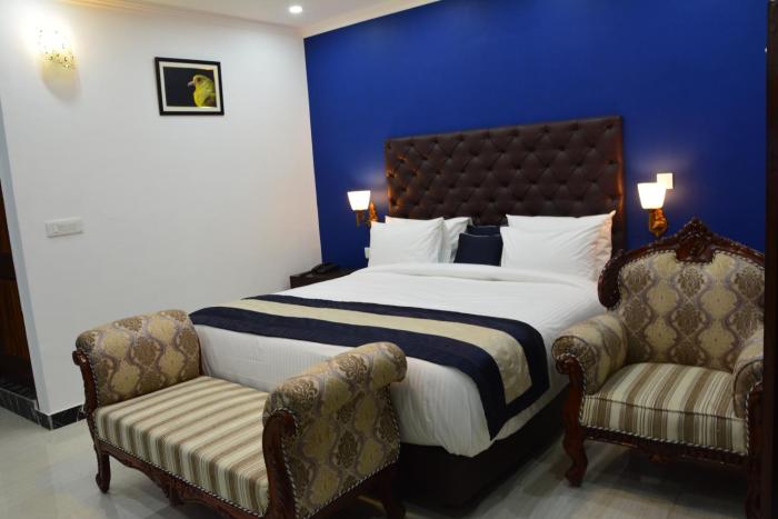 best nest shimla