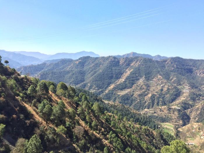 best nest shimla