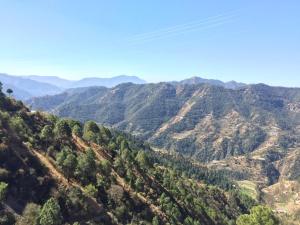 best nest shimla