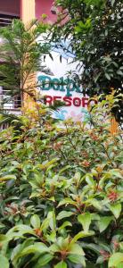 yelagiri