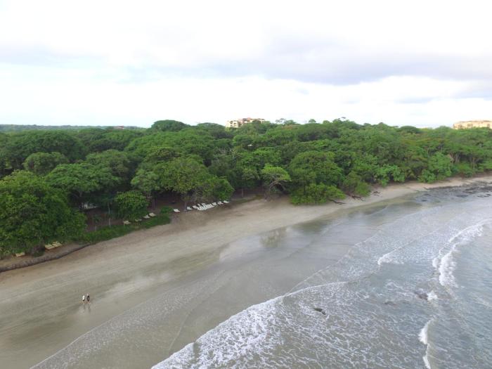 tamarindo
