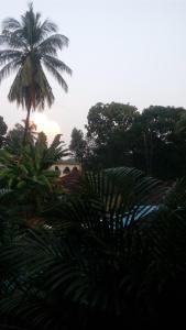 malvan