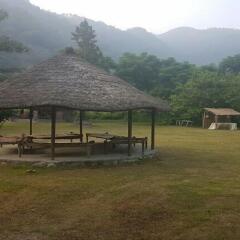 shivoham yoga retreats