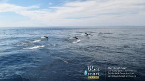 blue ocean sands on the beach