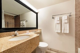 Holiday Inn Philadelphia Arpt-Stadium Area By Ihg,In Philadelphia (South Philadelphia),3 star