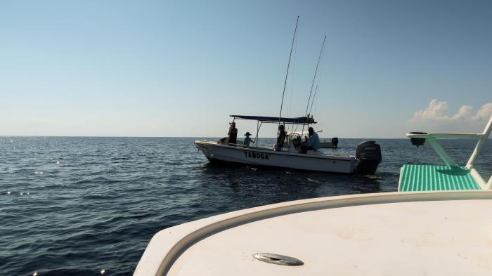 hotel hoja de oro corcovado